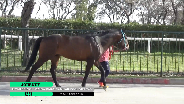 Lote JOURNEY