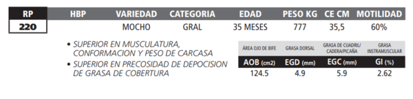 Lote LOTE 17