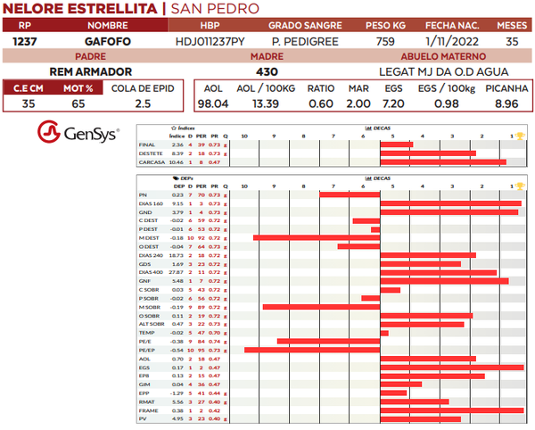 Lote LOTE 13