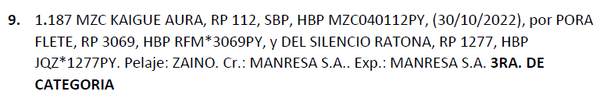 Lote LOTE 9
