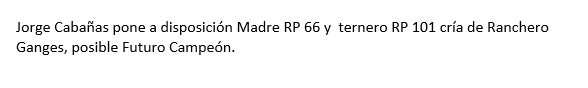 Lote Nelore a Bozal Expo Internacional 2022 RP 66- Lote 19