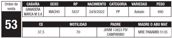 Lote LOTE 53