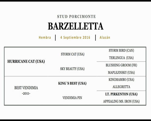 Lote BARZELLETTA (HURRICANE CAT - BEST VENDIMIA)