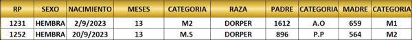 Lote LOTE 3