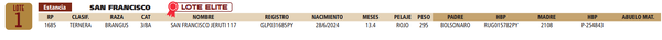 Lote LOTE 1