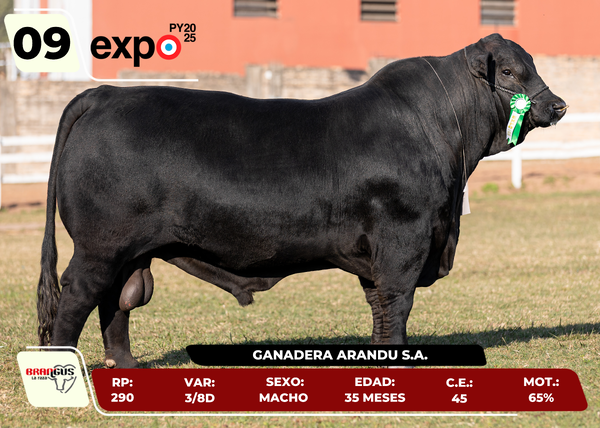 Lote LOTE 9