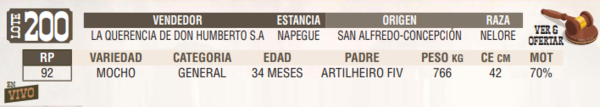 Lote LOTE 200 - EN VIVO