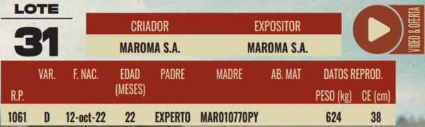 Lote LOTE 31 - MACHOS DE CAMPO