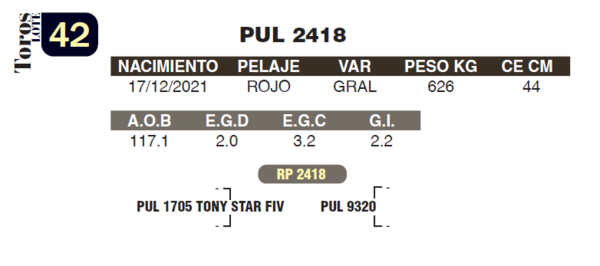 Lote LOTE 42