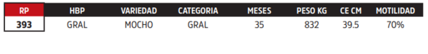 Lote LOTE 2