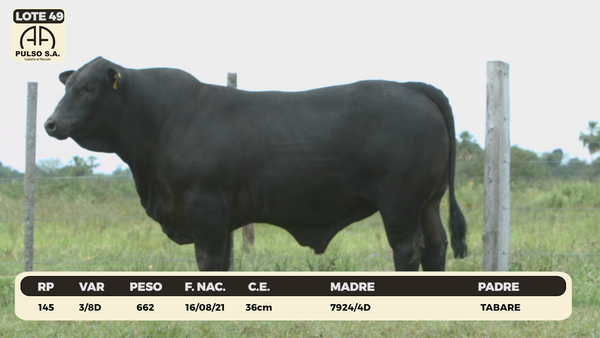 Lote LOTE 49