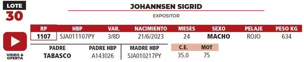 Lote LOTE 30