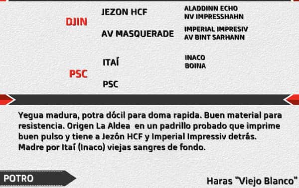 Lote JP GINITAY