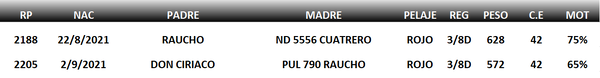 Lote LOTE 51