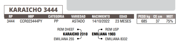 Lote LOTE 37