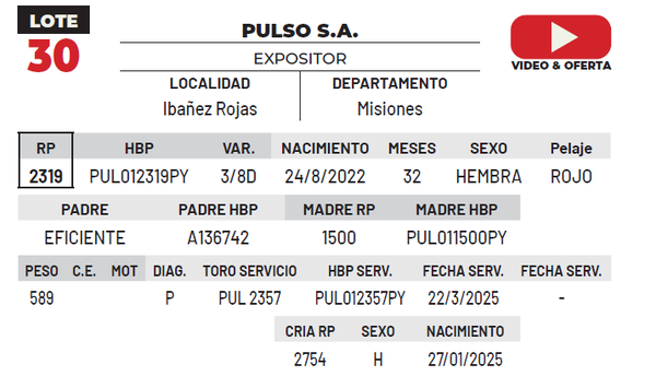 Lote LOTE 30