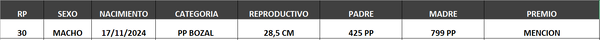 Lote LOTE 35- BOZAL