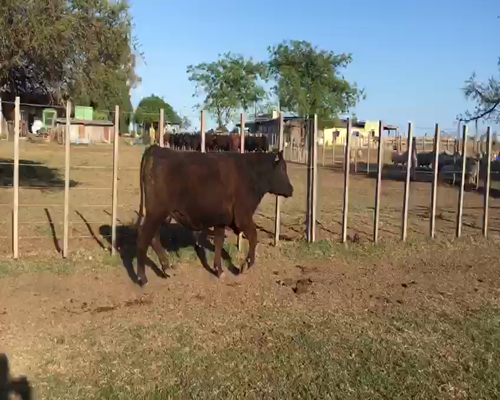 Lote RP 14