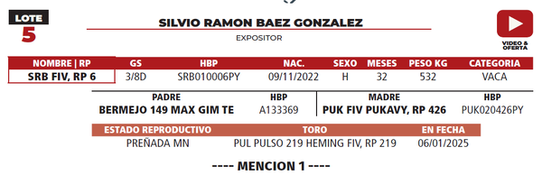Lote LOTE 5