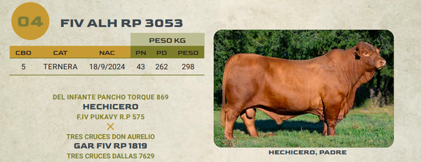 Lote LOTE 4