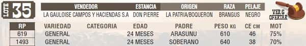 Lote LOTE 35 - EN VIVO