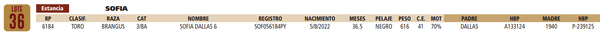 Lote LOTE 36