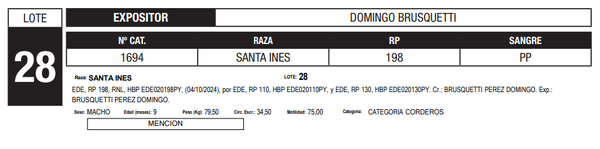 Lote LOTE 28