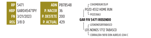 Lote LOTE 12