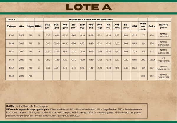 Lote Carneros a remate en Subasta Online - Nambi Guasu, Lavalleja