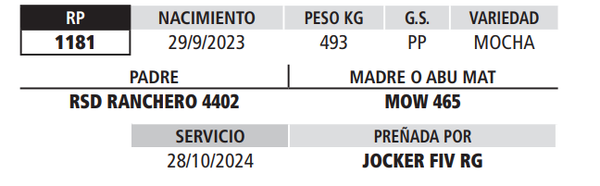 Lote LOTE 11