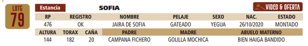 Lote LOTE 79