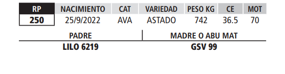 Lote LOTE 56