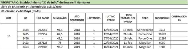 Lote Lote 15