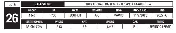 Lote LOTE 26