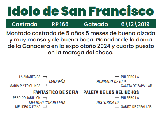 Lote LOTE 22