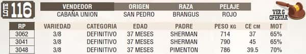 Lote LOTE 116