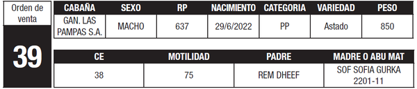 Lote LOTE 39