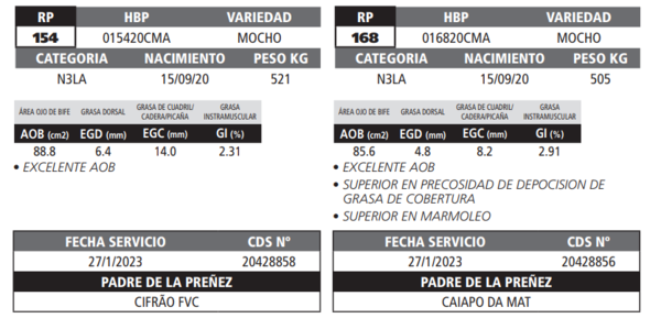 Lote LOTE 25