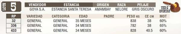 Lote LOTE 5 - EN VIVO