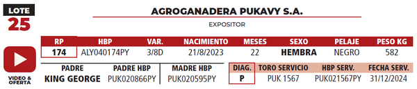 Lote LOTE 25