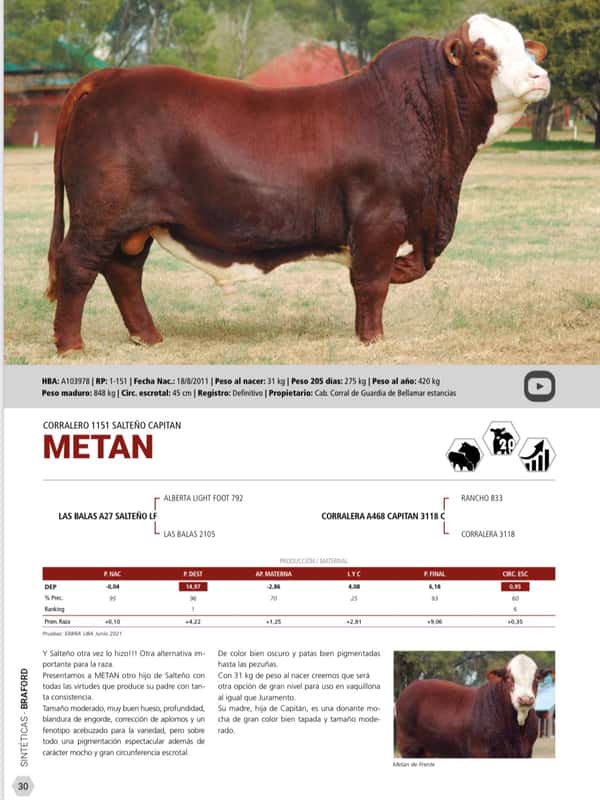 Lote LOTE 59
