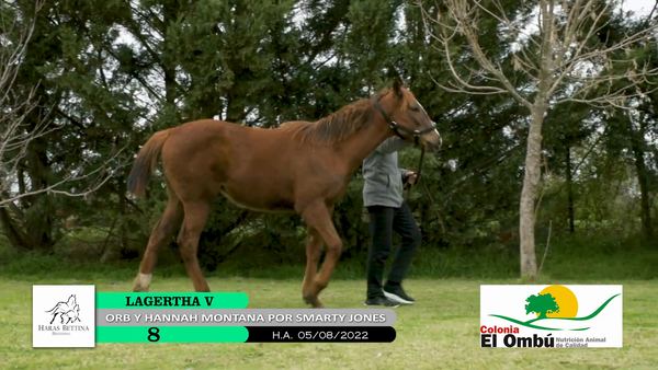 Lote LAGERTHA V