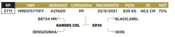 Lote LOTE 1