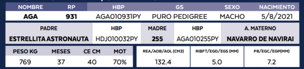 Lote LOTE 31