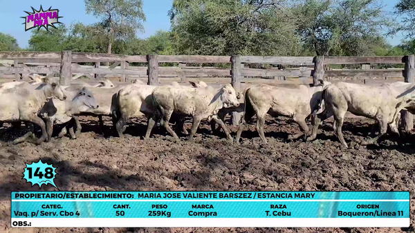 Lote LOTE 148
