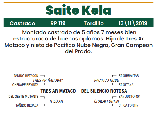 Lote LOTE 15