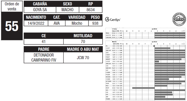 Lote LOTE 55