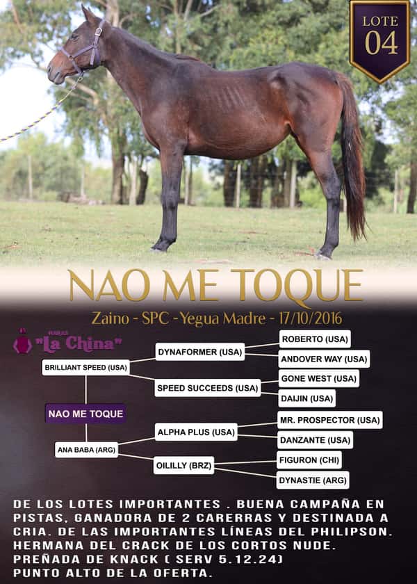 Lote NAO ME TOQUE