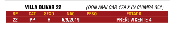 Lote LOTE 59