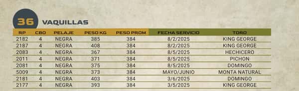 Lote LOTE 36